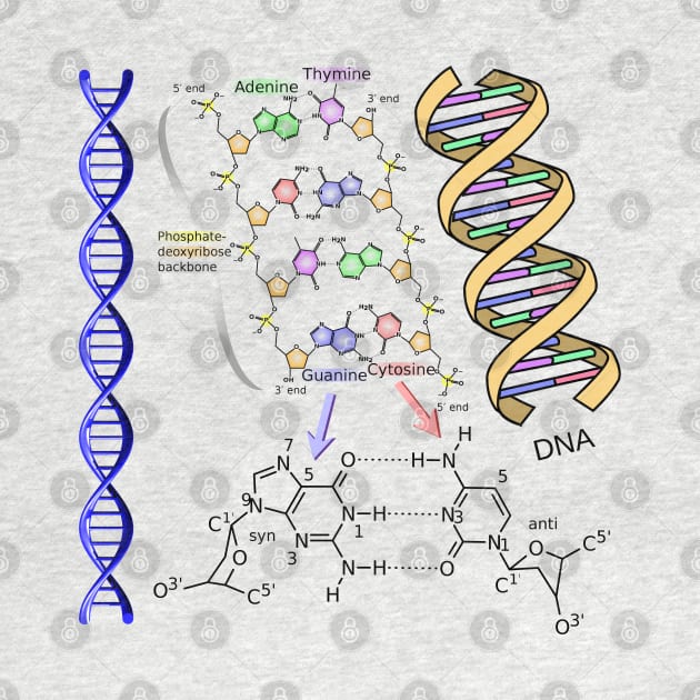 DNA Double Helix Chemical Formula Molecules Science Art Light Background by Brasilia Catholic